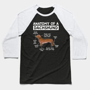 Funny Anatomy Dachshund Wiener Dog Cute Doxie Lover Baseball T-Shirt